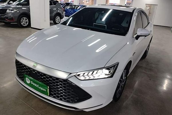 BYD Qin PLUS · 2021 год