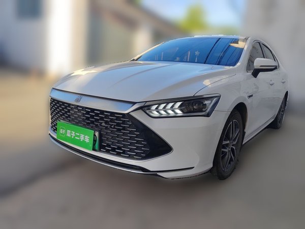 BYD Qin PLUS · 2021 год