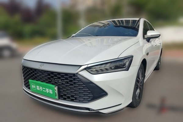BYD Qin PLUS · 2021 год