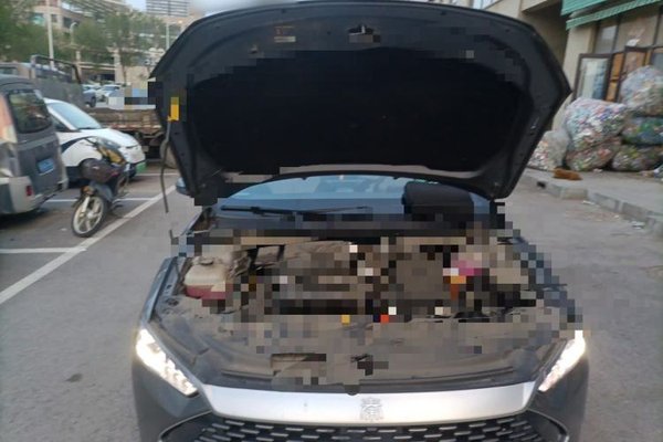 BYD Qin PLUS 2023, 23200 км, за 8033 USD - фото 20
