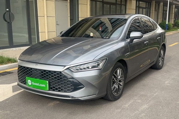 BYD Qin PLUS · 2023 год