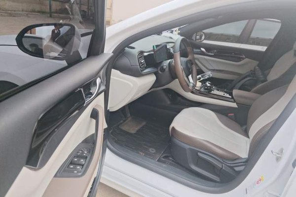 BYD Qin PLUS 2023, 14000 км, за 8483 USD - фото 17