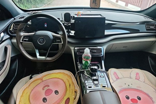 BYD Qin PLUS 2023, 32100 км, за 9026 USD - фото 18