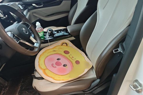 BYD Qin PLUS 2023, 32100 км, за 9026 USD - фото 14