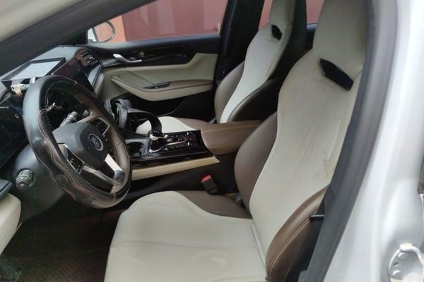 BYD Qin PLUS 2023, 91900 км, за 8879 USD - фото 14