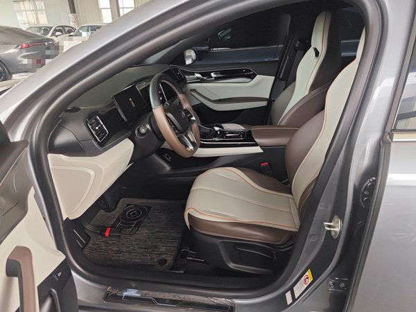 BYD Qin PLUS 2024, 41800 км, за 13575 USD - фото 17