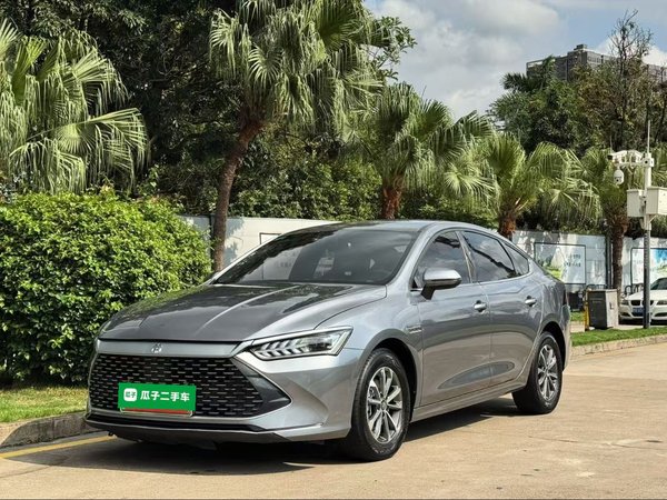 BYD Qin PLUS · 2024 год