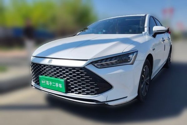 BYD Qin PLUS · 2024 год