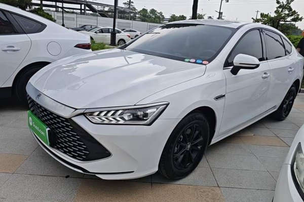 BYD Qin PLUS · 2024 год