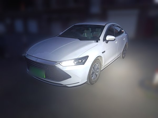 BYD Qin PLUS · 2024 год
