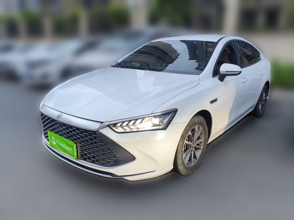 BYD Qin PLUS · 2024 год