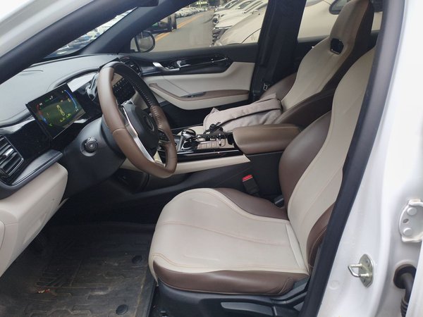 BYD Qin PLUS 2024, 61100 км, за 8517 USD - фото 16