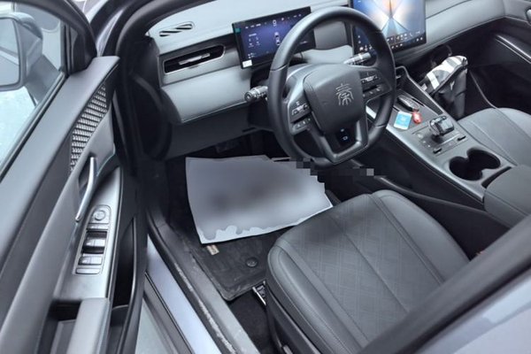 BYD Qin PLUS 2025, 2400 км, за 13255 USD - фото 18