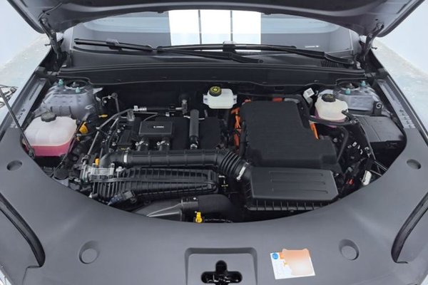 BYD Qin PLUS 2025, 2400 км, за 13255 USD - фото 24