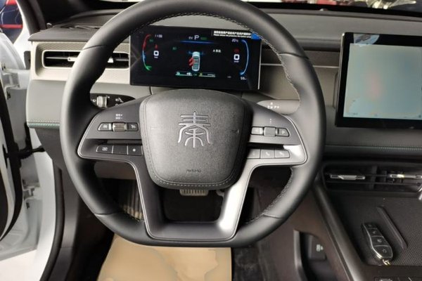 BYD Qin PLUS 2025, 100 км, за 13391 USD - фото 15