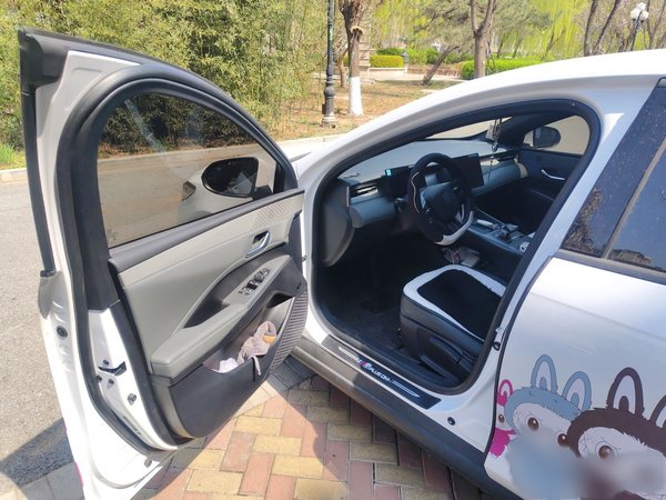 BYD Qin PLUS 2025, 13100 км, за 11350 USD - фото 14