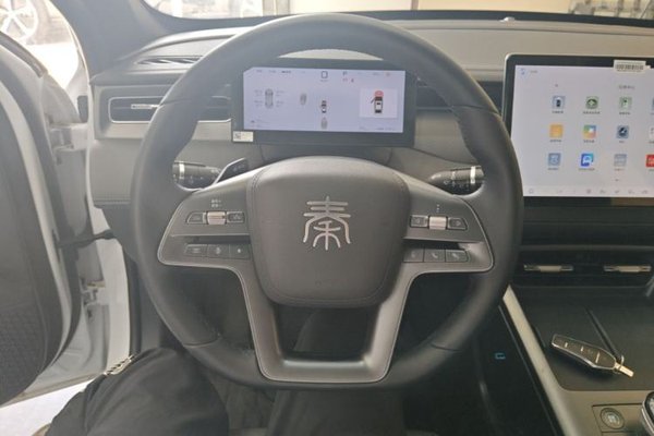 BYD Qin PLUS 2025, 3100 км, за 13561 USD - фото 13