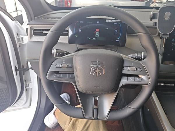 BYD Qin PLUS 2025, 8900 км, за 10514 USD - фото 14