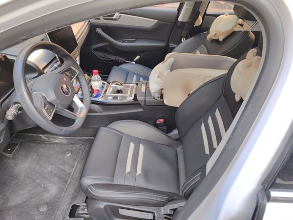 BYD Qin Pro New Energy 2019, 89000 км, за 5989 USD - фото 12