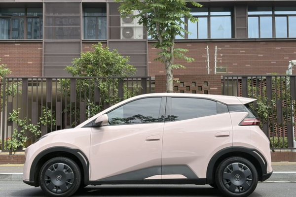 BYD Seagull 2023, 12400 км, за 9038 USD - фото 15