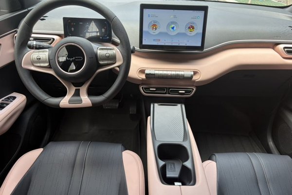 BYD Seagull 2023, 12400 км, за 9038 USD - фото 35