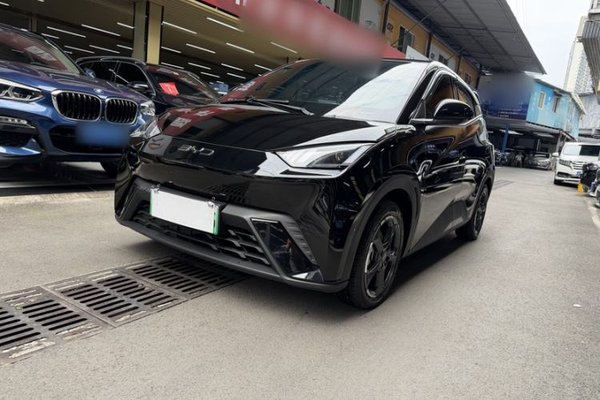 BYD Seagull · 2023 год