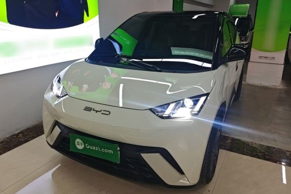 BYD Seagull · 2023 год