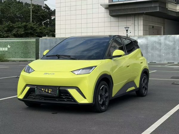 BYD Seagull · 2023 год