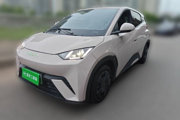 BYD Seagull · 2024 год