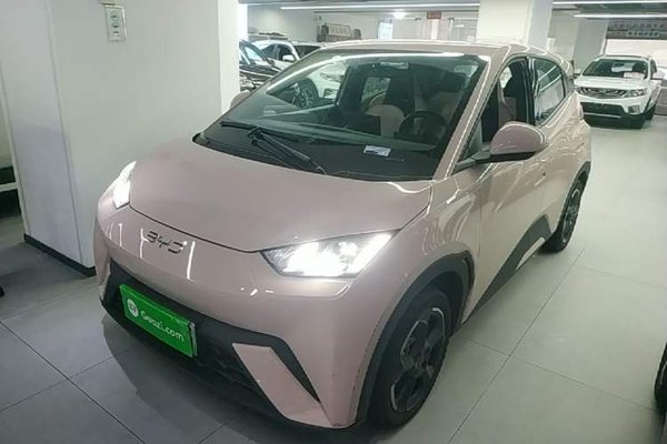 BYD Seagull · 2024 год