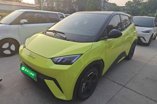 BYD Seagull · 2024 год