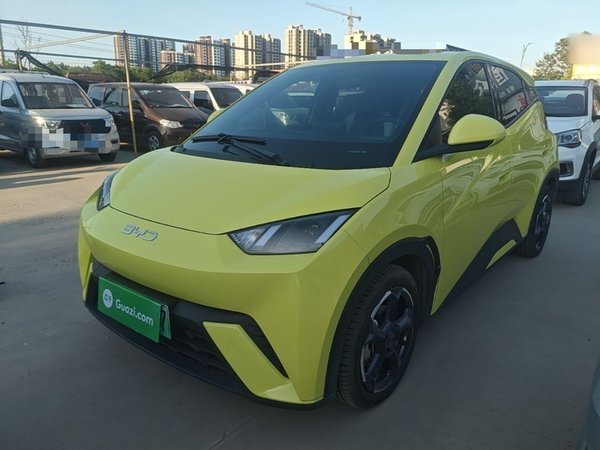 BYD Seagull · 2024 год
