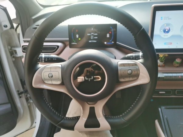 BYD Seagull 2024, 12700 км, за 9656 USD - фото 14