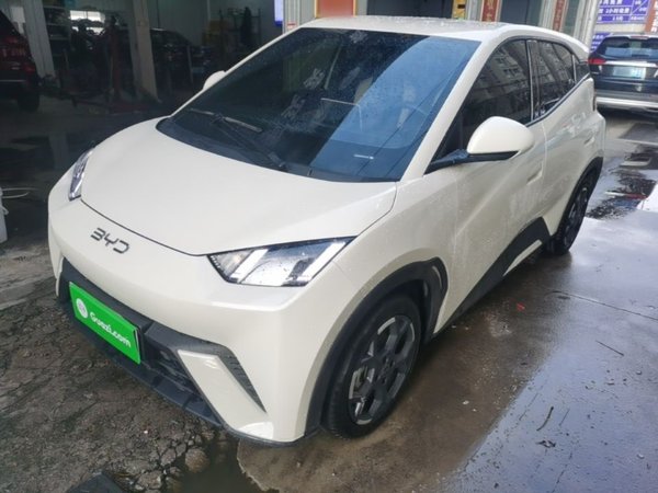 BYD Seagull · 2024 год