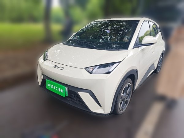 BYD Seagull · 2024 год