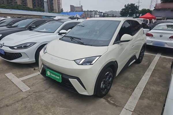 BYD Seagull · 2024 год