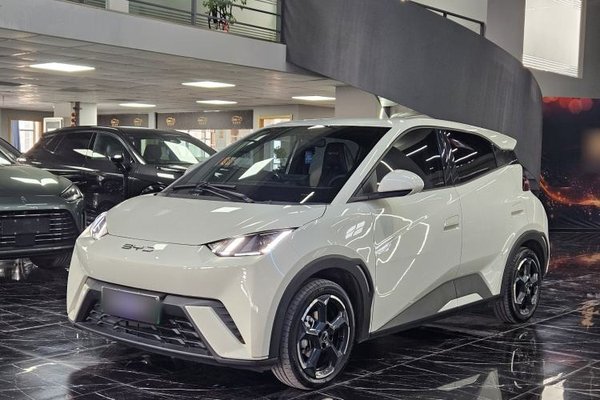 BYD Seagull · 2024 год