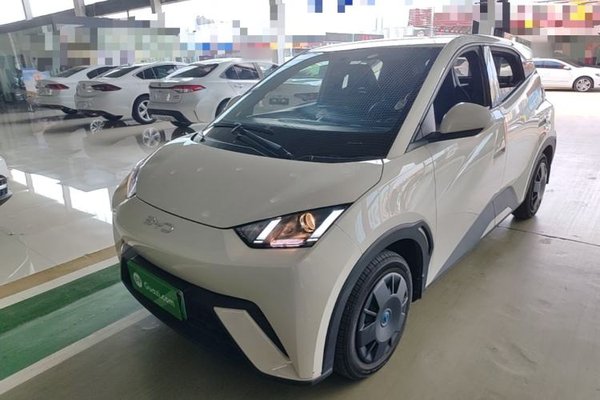 BYD Seagull · 2024 год