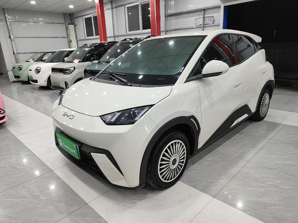 BYD Seagull · 2024 год