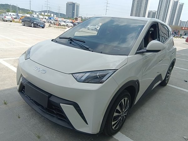 BYD Seagull · 2024 год