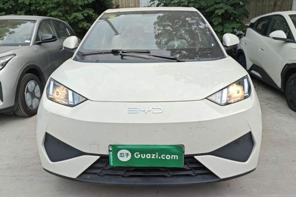 BYD Seagull 2025, 100 км, за 10444 USD