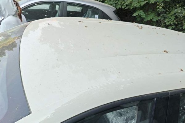 BYD Seagull 2025, 100 км, за 10444 USD - фото 7