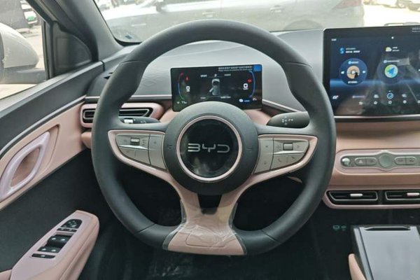 BYD Seagull 2025, 100 км, за 10444 USD - фото 13