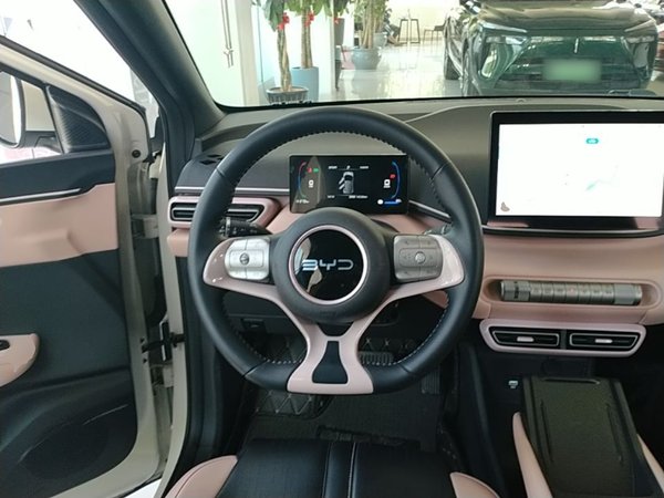 BYD Seagull 2025, 14200 км, за 10323 USD - фото 14