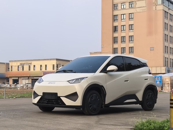 BYD Seagull · 2025 год