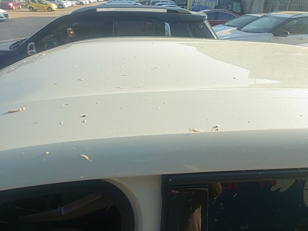 BYD Seagull 2025, 24100 км, за 9490 USD - фото 11