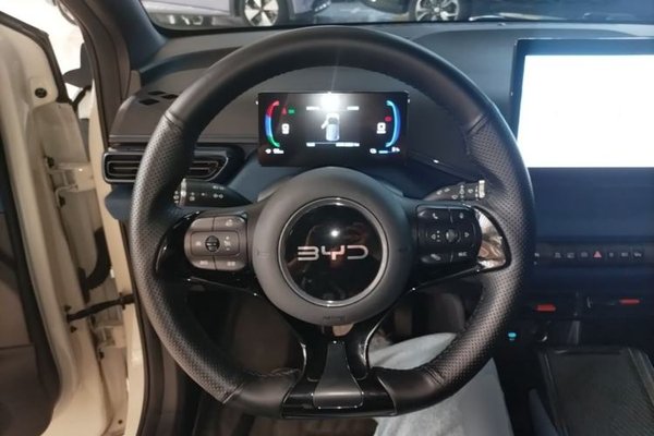 BYD Seagull 2025, 33200 км, за 10474 USD - фото 13