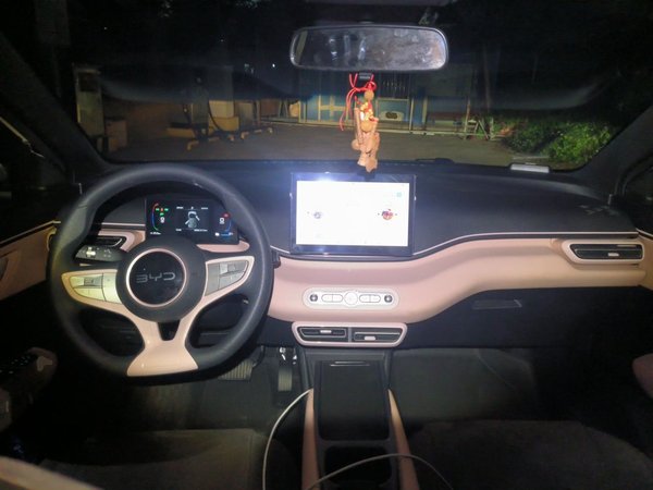 BYD Seagull 2025, 4000 км, за 8316 USD - фото 10