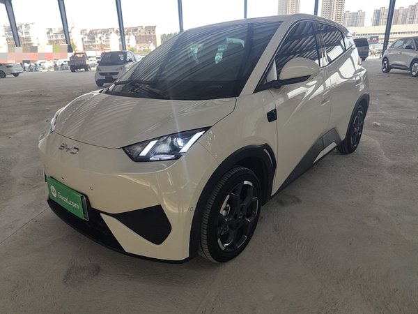 BYD Seagull · 2025 год