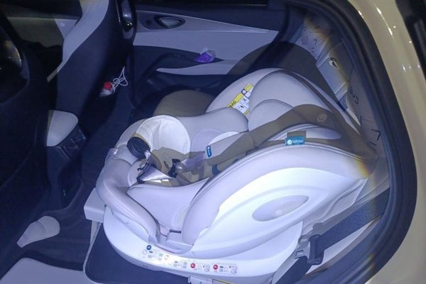 BYD Seal 06 New Energy 2024, 9900 км, за 14241 USD - фото 20